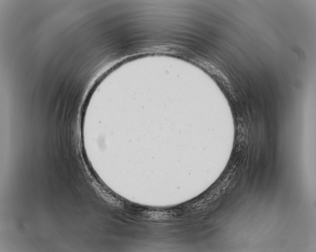 X0000111920792200909071216