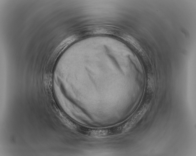 X0000111920793200909071216