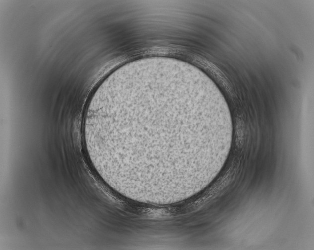 X0000111920794200909071216