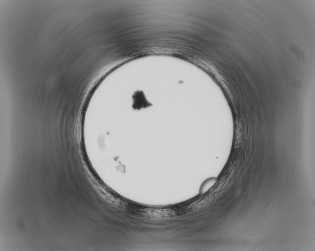 X0000111920795200909071216