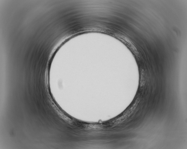 X0000111920796200909071216