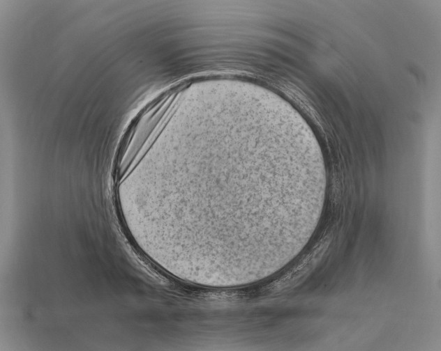 X0000111920797200909071216