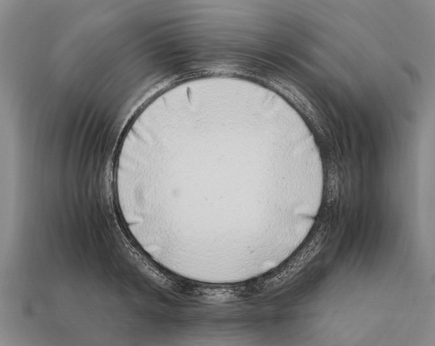 X0000111920798200909071216