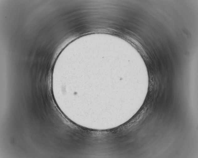 X0000111920804200909071216