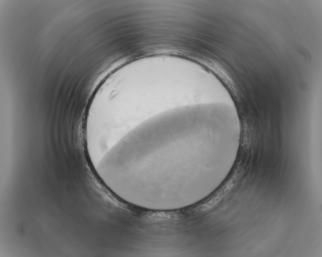 X0000111920806200909071216