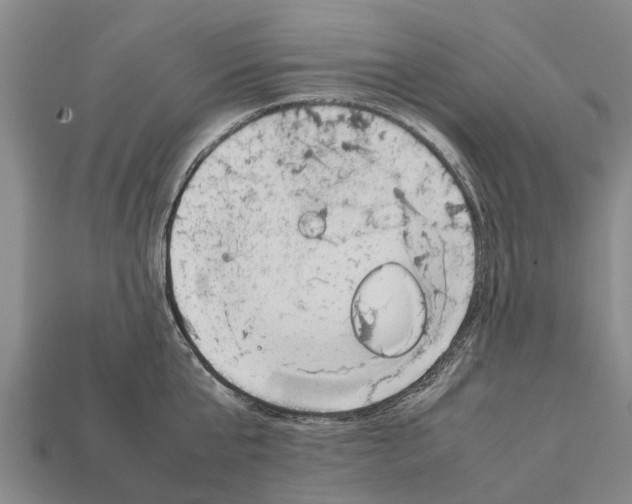 X0000111920807200909071216