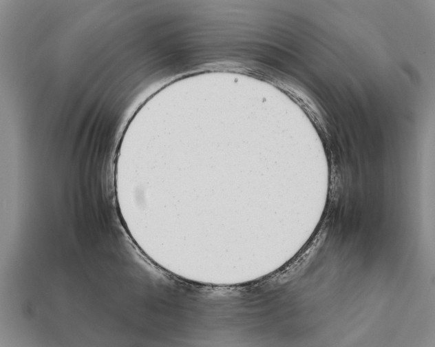 X0000111920808200909071216