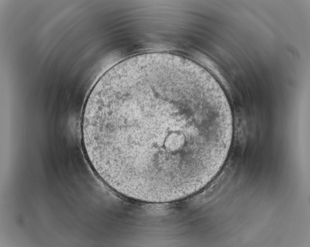 X0000111920810200909071216