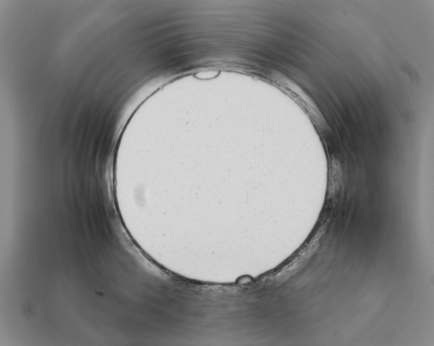 X0000111920812200909071216