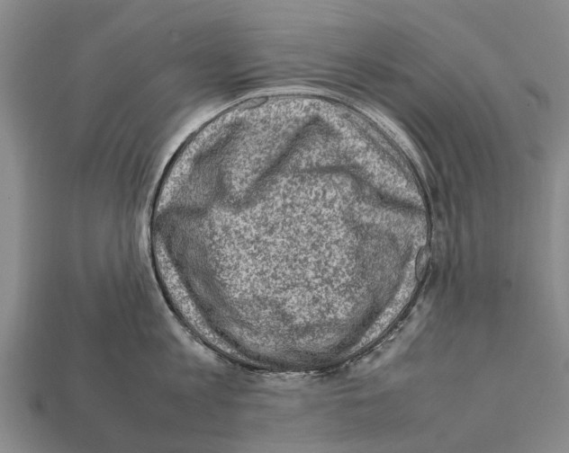 X0000111920813200909071216