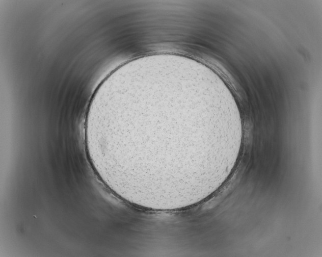 X0000111920814200909071216