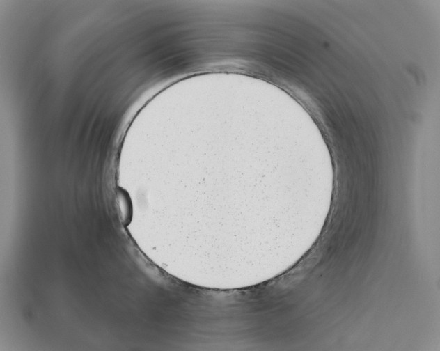 X0000111920816200909071216