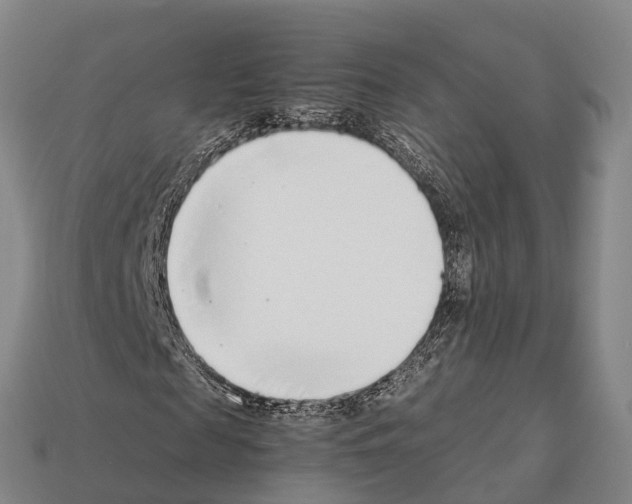 X0000111920817200909071215