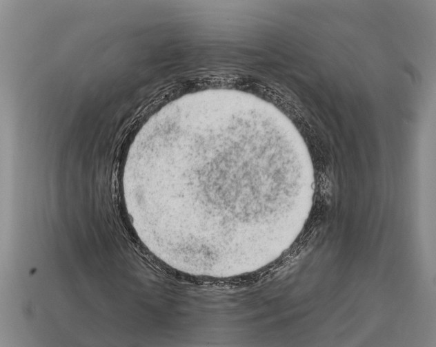 X0000111920818200909071215