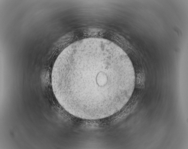 X0000111920820200909071215