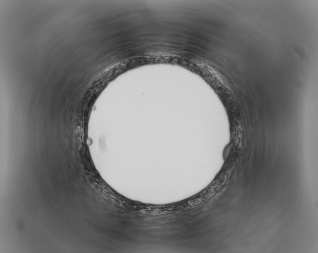 X0000111920821200909071215