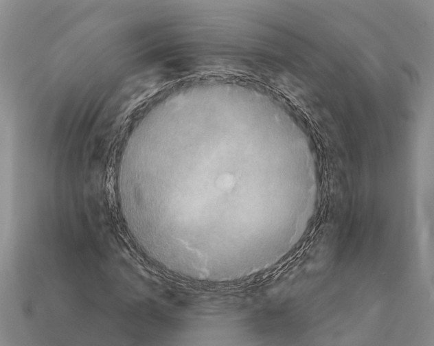 X0000111920824200909071215