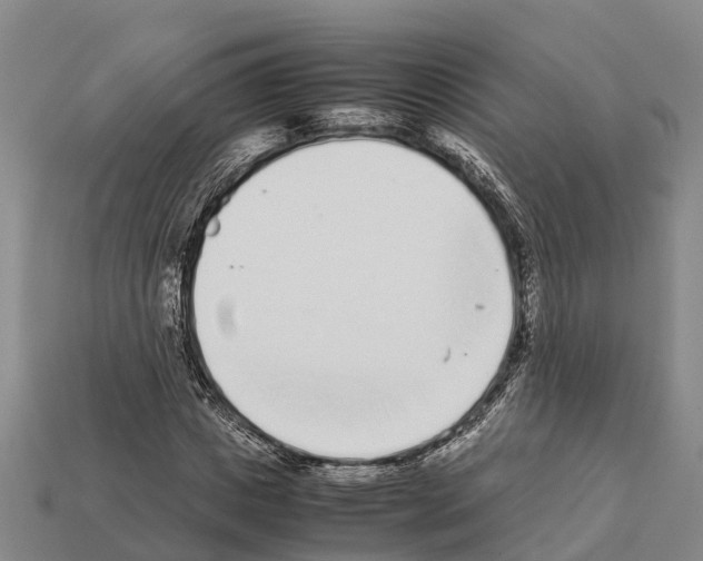 X0000111920825200909071215