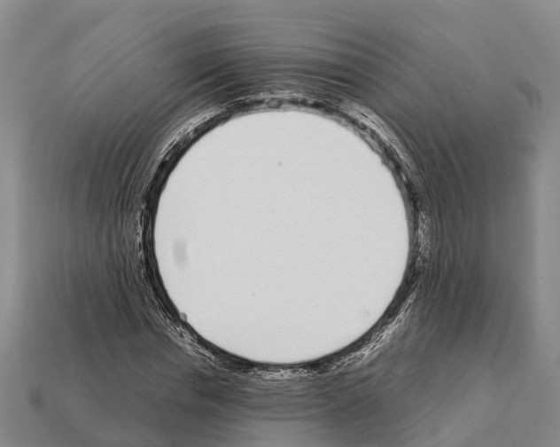 X0000111920826200909071215