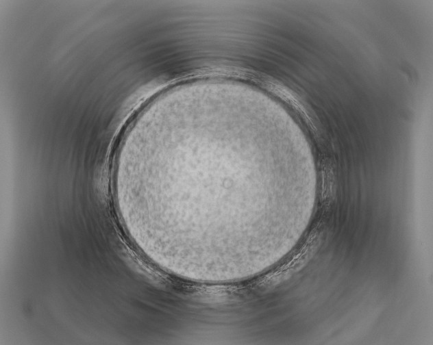 X0000111920828200909071215