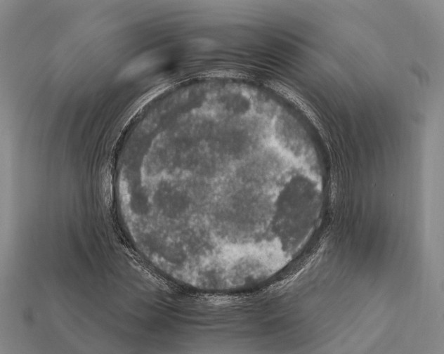 X0000111920829200909071215