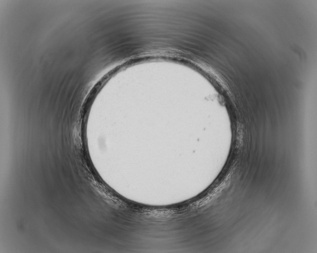 X0000111920830200909071215