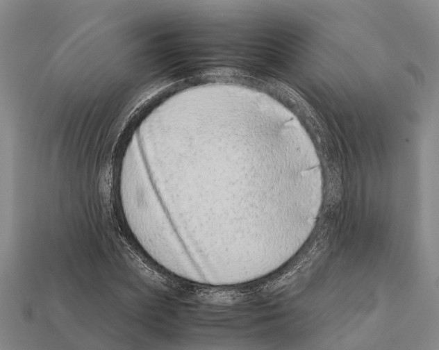 X0000111920831200909071215