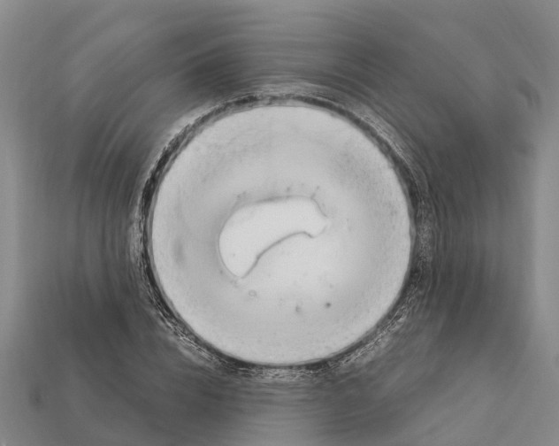 X0000111920832200909071215