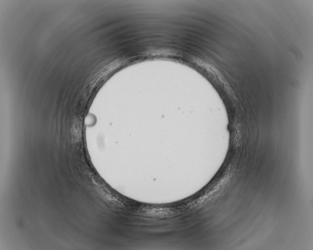 X0000111920833200909071215