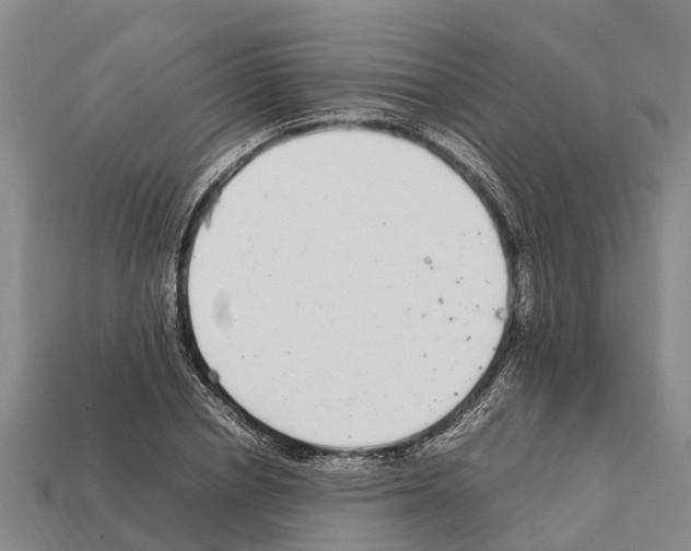 X0000111920834200909071215