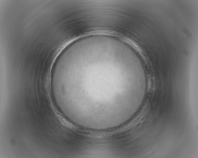 X0000111920836200909071216