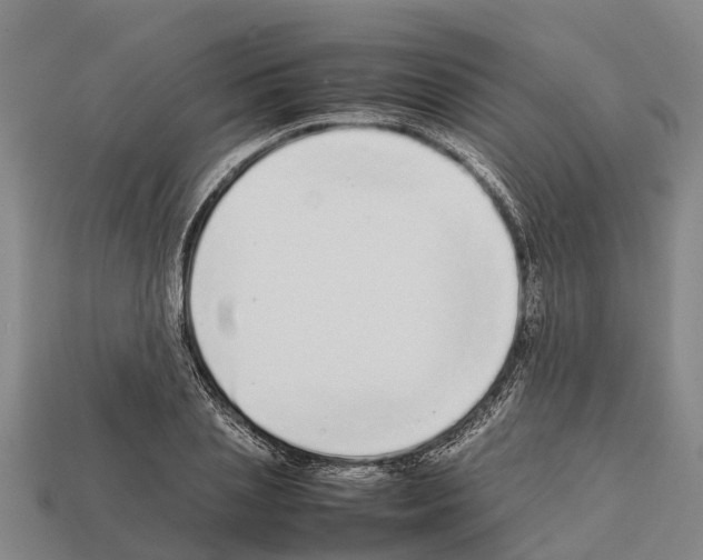 X0000111920837200909071216