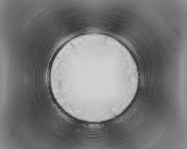 X0000111920839200909071216