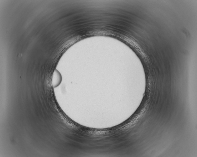 X0000111920841200909071216