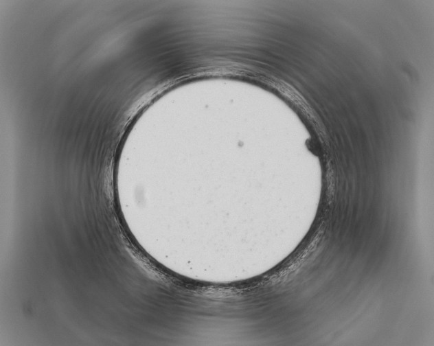 X0000111920842200909071216