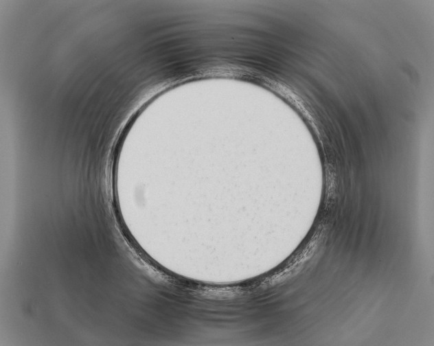 X0000111920843200909071216