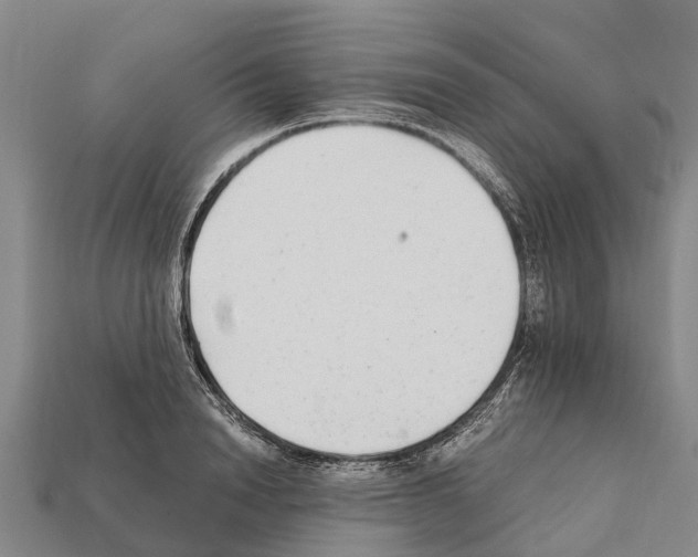 X0000111920846200909071216