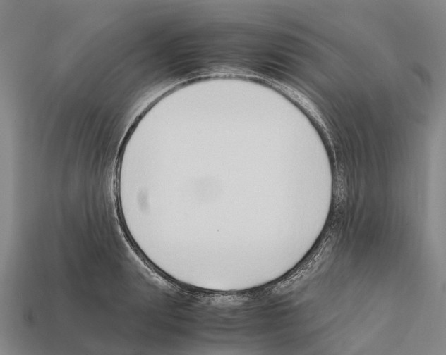 X0000111920847200909071216