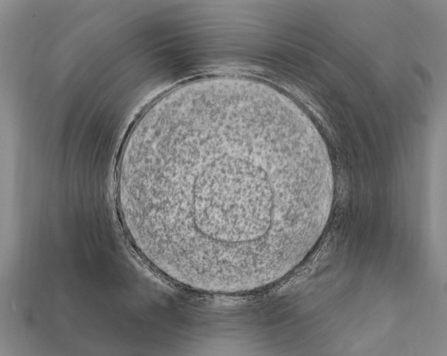 X0000111920848200909071216