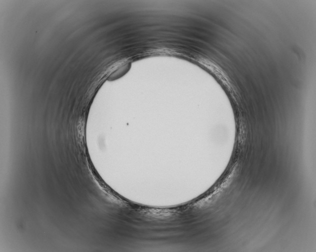 X0000111920849200909071216