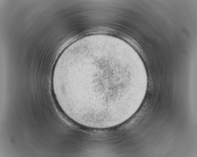 X0000111920850200909071216