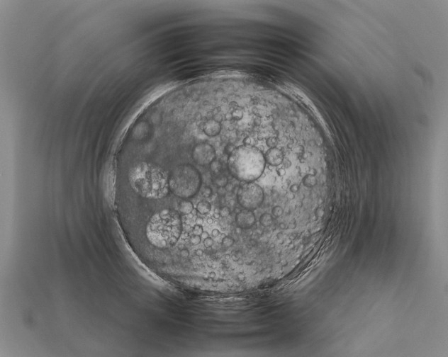 X0000111920851200909071216