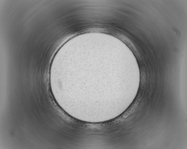 X0000111920852200909071216