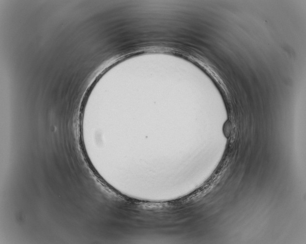 X0000111920853200909071216