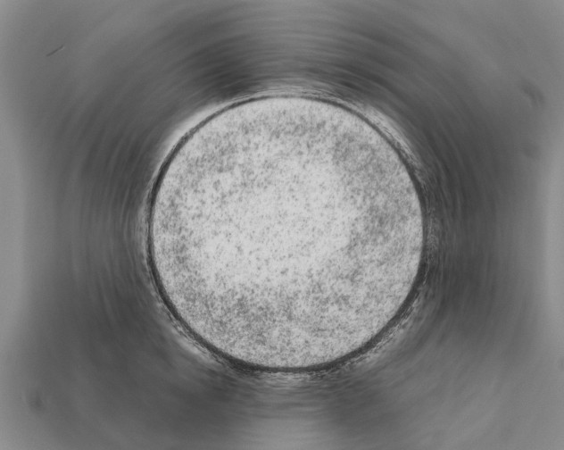 X0000111920854200909071216