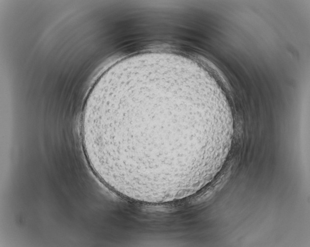 X0000111920855200909071216