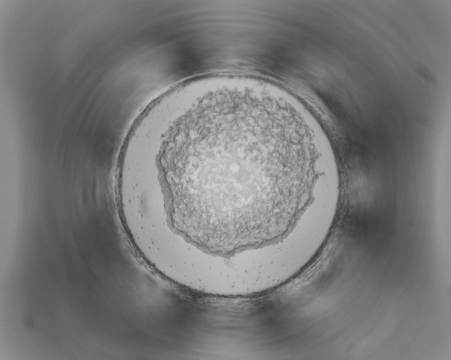 X0000111920856200909071216