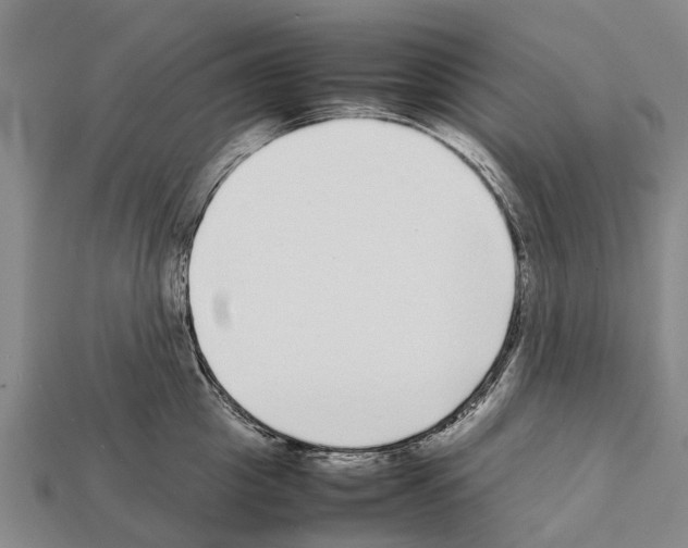 X0000111920857200909071216