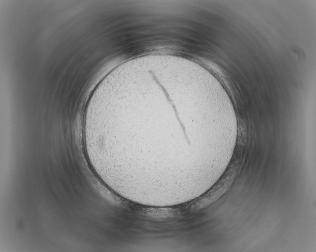 X0000111920859200909071216