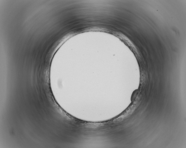 X0000111920860200909071216